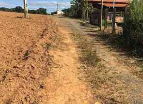 Fazenda, 1 Quarto, 8 Vagas em Zona Rural, Martinho Campos, MG valor de R$ 119.000,00 no Lugar Certo