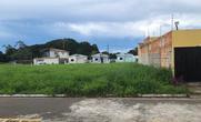 Lote