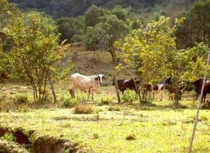 Lote, 1 Quarto, 1 Vaga em Santo Antonio do Leite, Ouro Preto, MG valor de R$ 800.000,00 no Lugar Certo