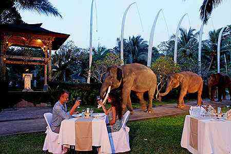 Elephant Safari Park Lodge/Divulgao