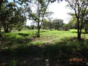 Fazenda, 3 Quartos em Setor Central, Faina, GO valor de R$ 8.500.000,00 no Lugar Certo