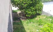 Lote