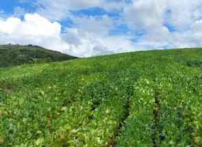 Fazenda, 3 Quartos em Zona Rural, Conceição do Rio Verde, MG valor de R$ 12.950.000,00 no Lugar Certo