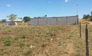 Lote