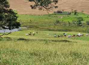 Fazenda, 4 Quartos, 2 Vagas, 1 Suite em Centro, Pouso Alegre, MG valor de R$ 8.000.000,00 no Lugar Certo