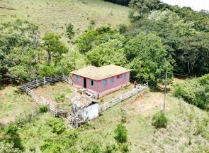 Fazenda em Centro, Crucilândia, MG valor de R$ 290.000,00 no Lugar Certo