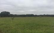 Lote
