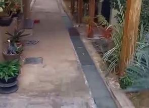 Apartamento, 2 Quartos, 1 Vaga em Cândida Ferreira, Contagem, MG valor de R$ 235.000,00 no Lugar Certo