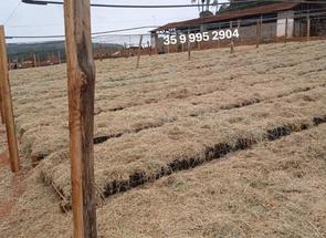 Fazenda em Zona Rural, Bom Sucesso, MG valor de R$ 38.000.000,00 no Lugar Certo