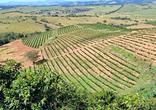 Fazenda