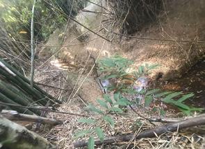 Fazenda, 4 Quartos em Centro, Ribeirão Vermelho, MG valor de R$ 530.000,00 no Lugar Certo