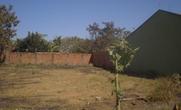 Lote