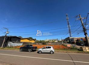 Lote para alugar em Rua Vancouver Esquina Com Rua Melita, Jardim Canadá, Nova Lima, MG valor de R$ 7.500,00 no Lugar Certo