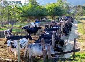 Fazenda, 4 Quartos, 2 Vagas em Centro, Itapecerica, MG valor de R$ 5.500.000,00 no Lugar Certo