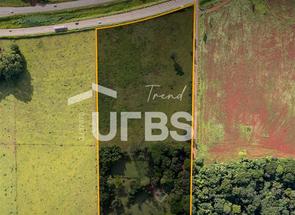 Chácara, 5 Quartos em [endereco], Chácaras Bom Retiro, Goiânia, GO valor de R$ 12.000.000,00 no Lugar Certo