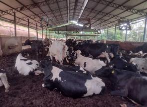 Fazenda, 3 Quartos em Zona Rural, Turvolândia, MG valor de R$ 9.000.000,00 no Lugar Certo