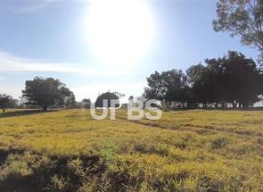 Rural em Rua Professora Lourdes Naves, Centro, Araguari, MG valor de R$ 5.000.000,00 no Lugar Certo