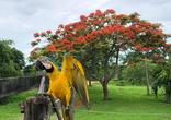 Fazenda