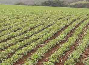 Fazenda, 1 Quarto, 1 Vaga, 1 Suite em Centro, Careaçu, MG valor de R$ 7.000.000,00 no Lugar Certo