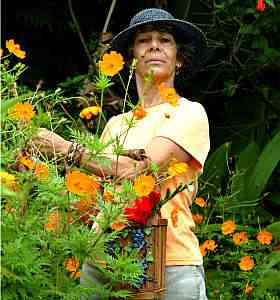A aposentada Rejane de Oliveira mora em um modelo de ecovila, e diz que no abre mo do contato com a natureza - Beto Novaes/EM/D.A.Press
