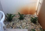 Apartamento, 1 Quarto, 2 Vagas, 1 Suite