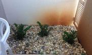 Apartamento, 1 Quarto, 2 Vagas, 1 Suite