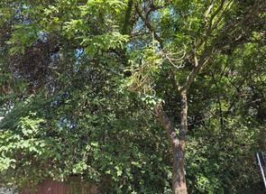 Lote em Ouro Preto, Belo Horizonte, MG valor de R$ 7.700.000,00 no Lugar Certo