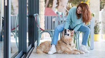 Pets em condom�nio: direitos e regras para uma conviv�ncia sem conflitos