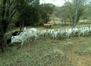 Fazenda, 1 Quarto, 1 Vaga, 1 Suite em Centro, Cambuí, MG valor de R$ 4.000.000,00 no Lugar Certo