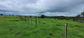 Fazenda em Colinas do Sul, Setor Central, Colinas do Sul, GO valor de R$ 15.900.000,00 no Lugar Certo