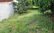 Lote