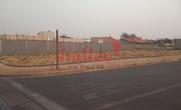 Lote