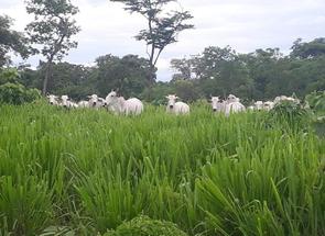 Fazenda, 3 Quartos em Zona Rural, Ibiaí, MG valor de R$ 3.500.000,00 no Lugar Certo