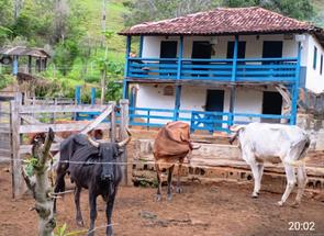 Fazenda, 7 Quartos em Centro, Santa Maria de Itabira, MG valor de R$ 780.000,00 no Lugar Certo