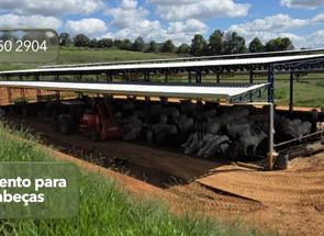 Fazenda, 3 Quartos, 1 Suite em Zona Rural, São Gonçalo do Sapucaí, MG valor de R$ 10.300.000,00 no Lugar Certo