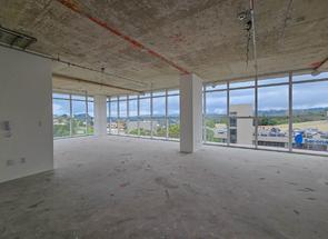 Sala para alugar em Vila da Serra, Nova Lima, MG valor de R$ 15.000,00 no Lugar Certo