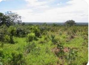 Fazenda em Zona Rural, Felixlândia, MG valor de R$ 4.600.000,00 no Lugar Certo