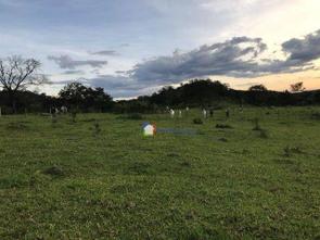 Rural, 6 Quartos, 4 Vagas, 3 Suites em Rodovia Go-060, Zona Rural, Petrolina de Goiás, GO valor de R$ 1.750.000,00 no Lugar Certo