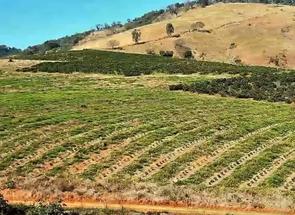 Fazenda, 2 Quartos em Zona Rural, São Gonçalo do Sapucaí, MG valor de R$ 6.000.000,00 no Lugar Certo