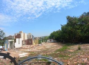 Lote em Itapoã, Belo Horizonte, MG valor de R$ 8.222.500,00 no Lugar Certo