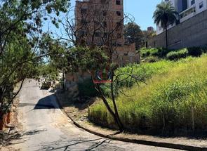 Lote em Ouro Preto, Belo Horizonte, MG valor de R$ 350.000,00 no Lugar Certo