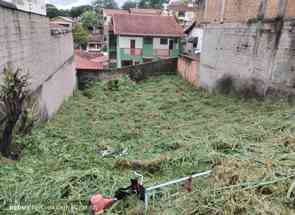 Lote em Havaí, Belo Horizonte, MG valor de R$ 540.000,00 no Lugar Certo