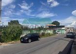 Lote