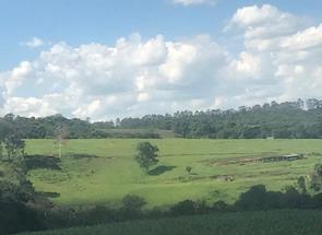 Fazenda, 3 Quartos, 2 Vagas em Zona Rural, Nepomuceno, MG valor de R$ 4.500.000,00 no Lugar Certo