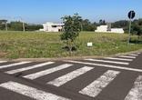Lote