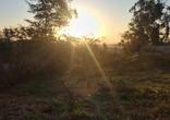 Fazenda