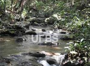 Chácara, 6 Quartos em Região do Berela, Zona Rural, Pirenópolis, GO valor de R$ 1.890.000,00 no Lugar Certo