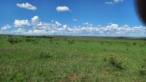 Fazenda em Zona Rural, Zona Rural, Camapuã, MS valor de R$ 29.000.000,00 no Lugar Certo