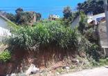 Lote