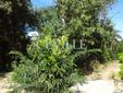 Lote à venda, Casa Branca - Brumadinho, MG - 7500m² - ID 340976614 | Lugarcerto